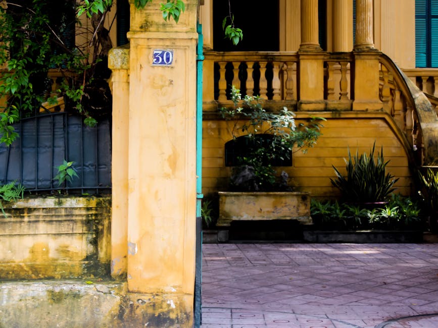 11 : img_9 - Professional Consultation